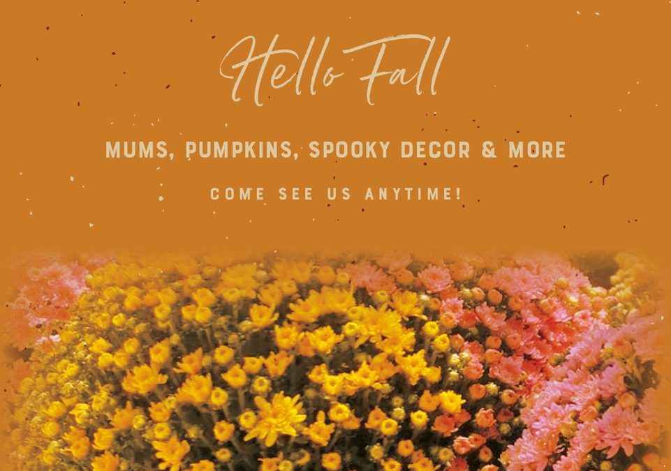 Welcome to Fall!