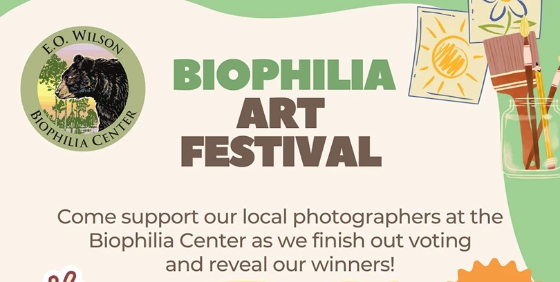 Biophilia Art Festival!