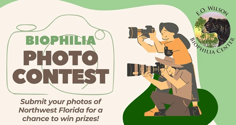 The Biophilia Art Festival is Calling for Artists!