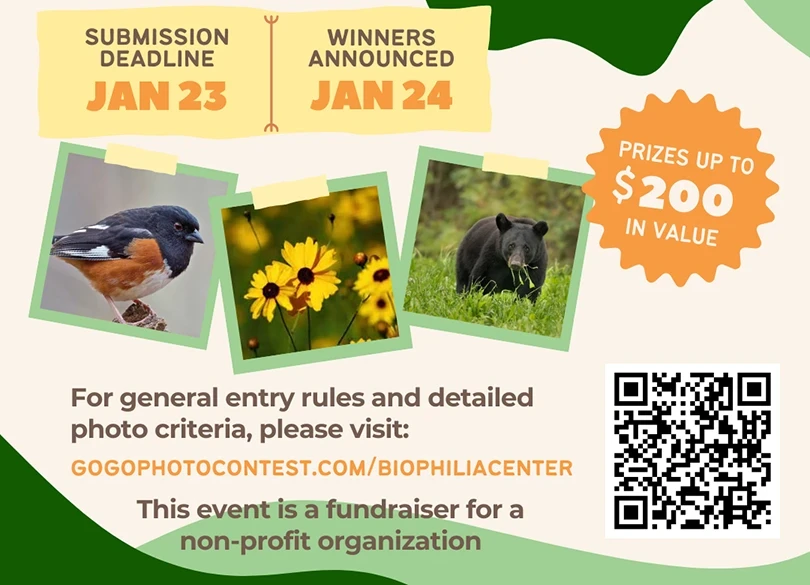 Biophilia Art Festival Photo Contest flyer