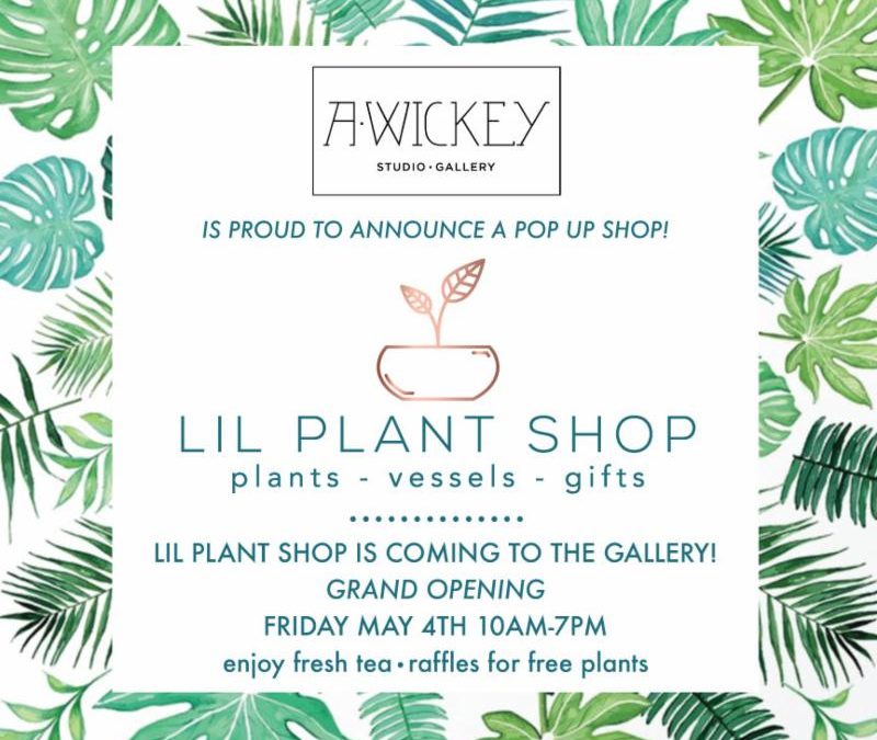 Pop Up Show at AWickey Studio Gallery